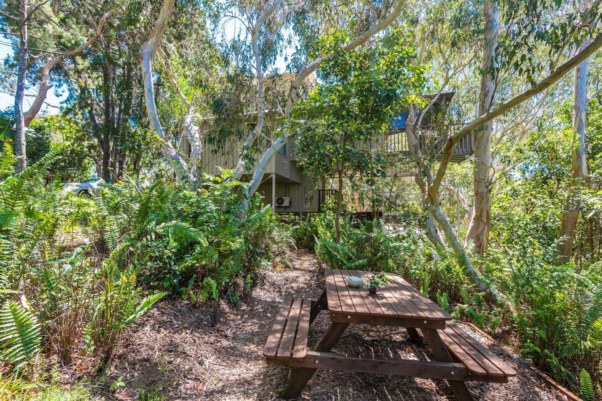 The Oasis Apartments And Treetop Houses Byron Bay Quarto foto